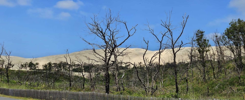 dune du pyla